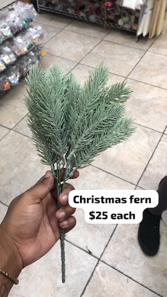 Xmas Fern